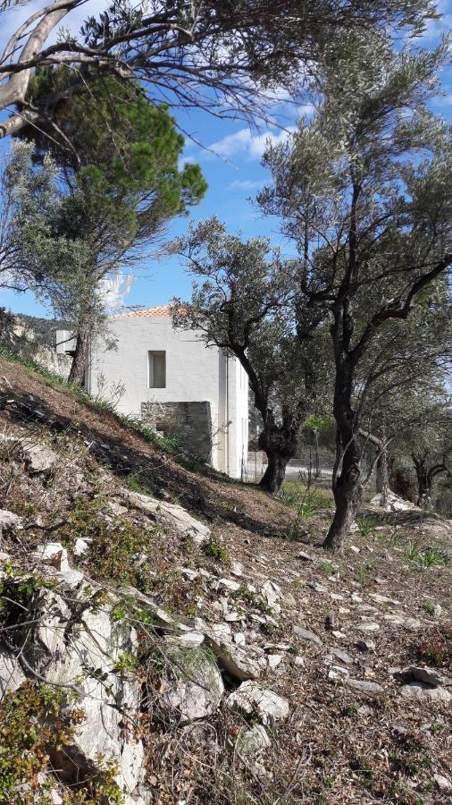 House Λ Villa Moni Evaggelistrias Exterior foto